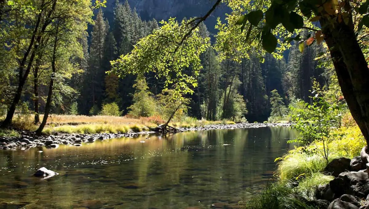 How To Find Diamonds in Your Backyard