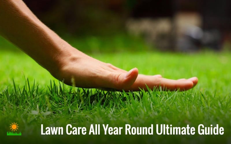 Lawn Care All Year Round Ultimate Guide The Four Seasons Guide Yard Day