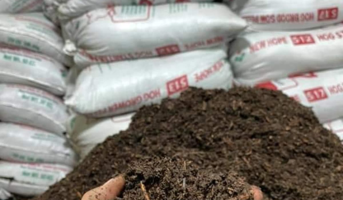 Key Differences Between Topsoil vs Mulch vs Compost