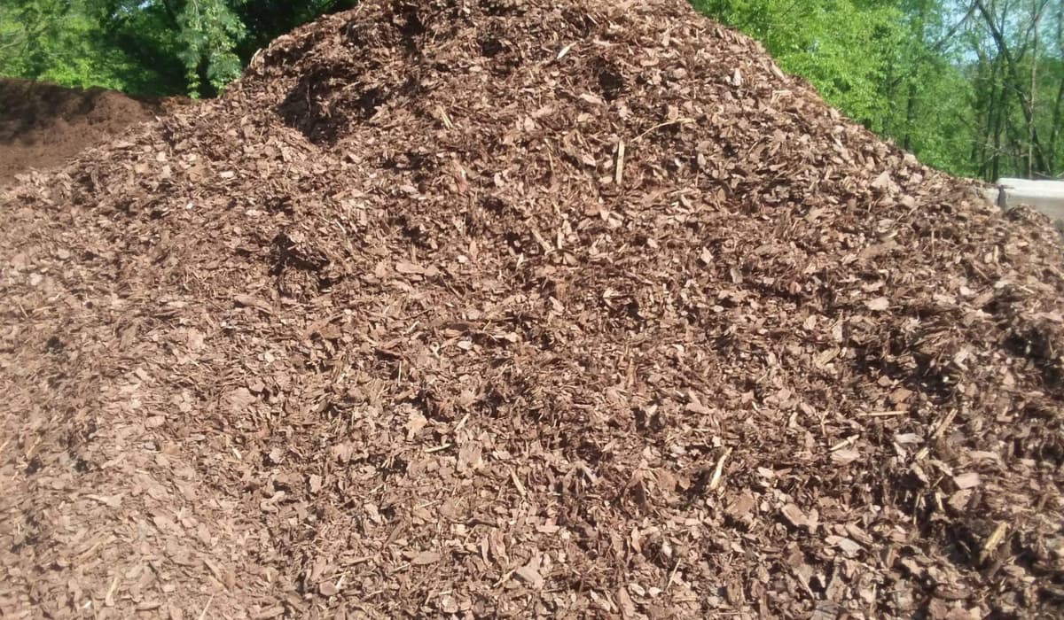 Key Differences Between Topsoil vs Mulch vs Compost