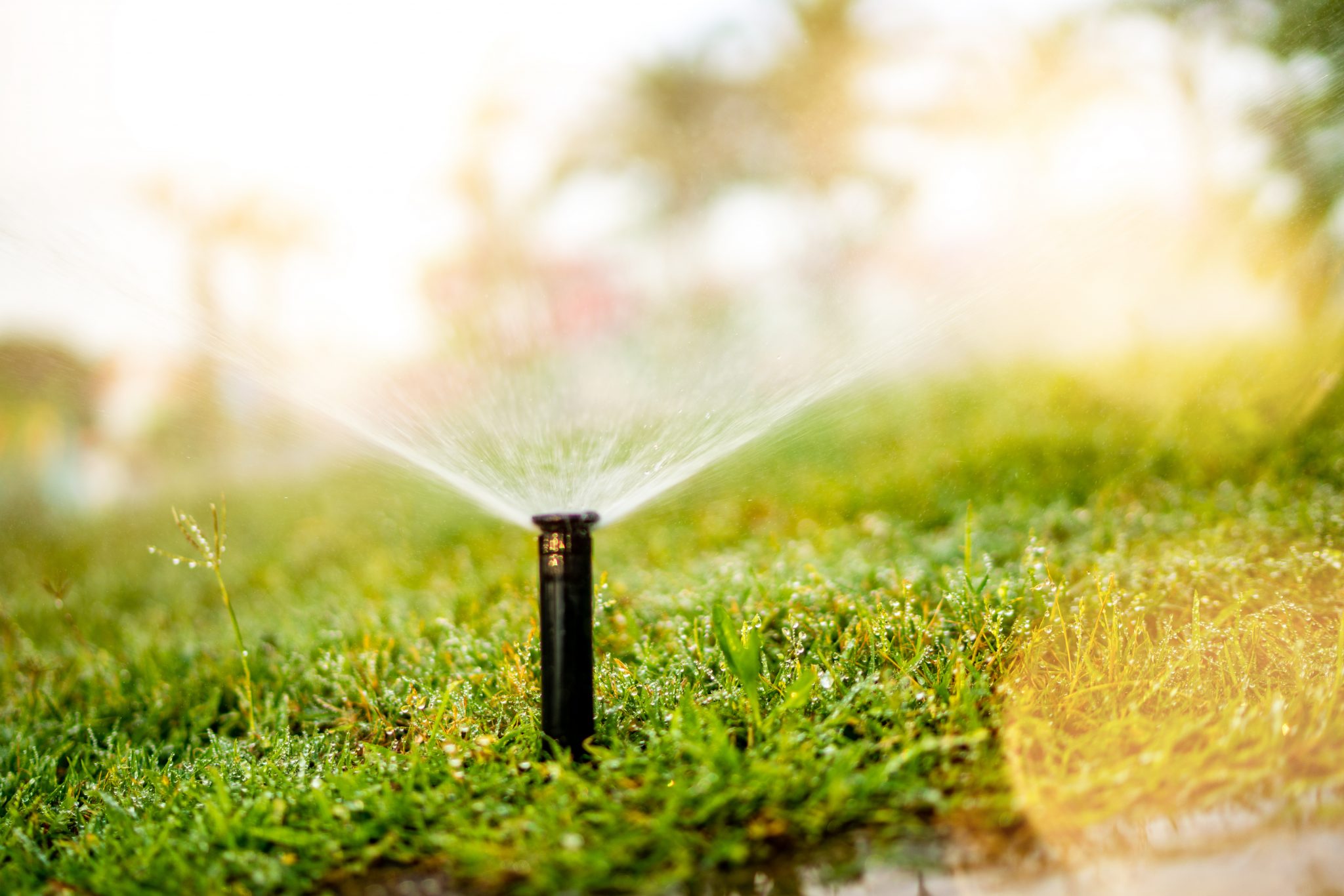 Sprinkler Repair & Service Yardguard Fertilizing and Lawn Maintenance