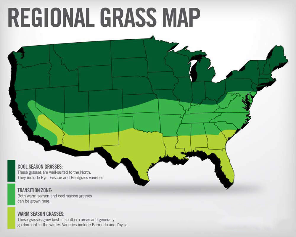 How Often Do You Need To Fertilize Your Lawn Yard Guard of Minnesota