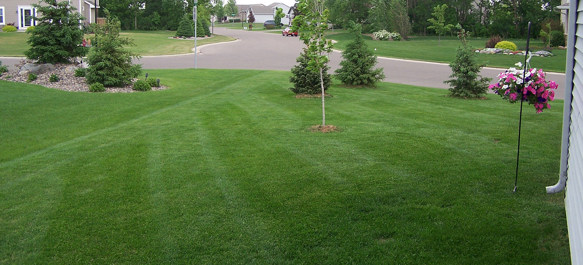How Often Do You Need To Fertilize Your Lawn I Lawn Guard MN