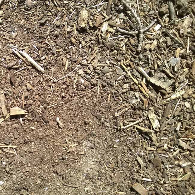 Does Mulch Have Manure In It