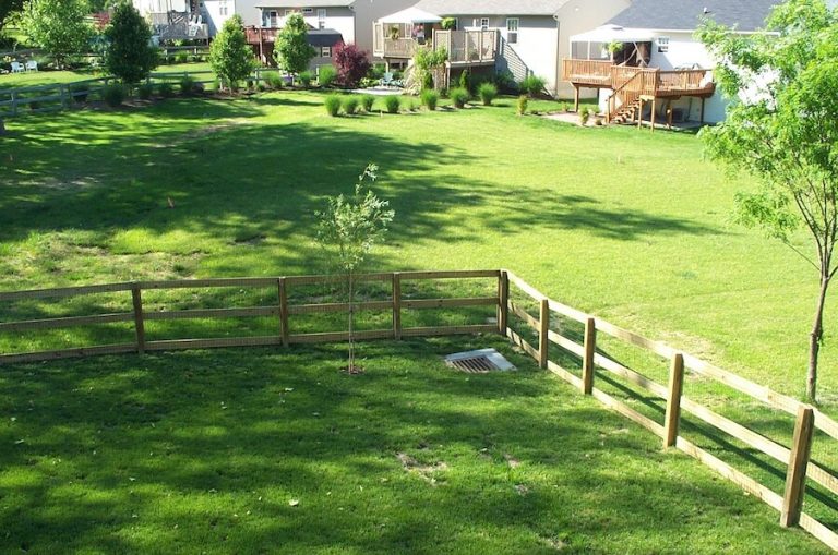 How Big Is the Average Backyard? (EXPLAINED FOR BEGINNERS) Yard Life