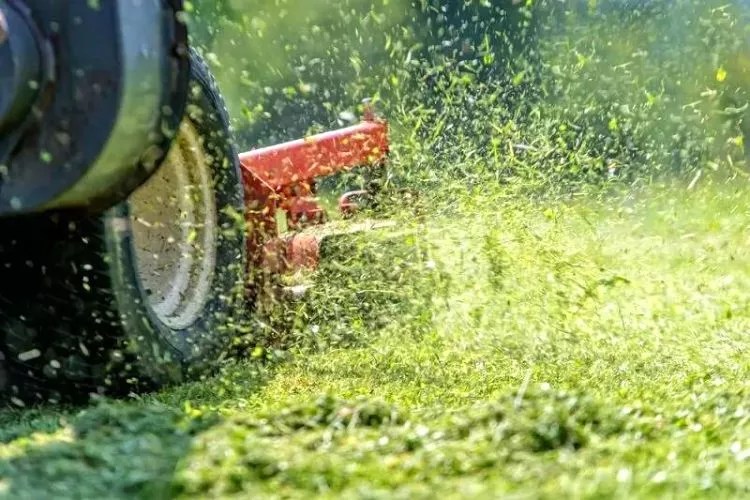 Why Is My Lawn Mower Spitting Out Grass? (All You Need To Know)