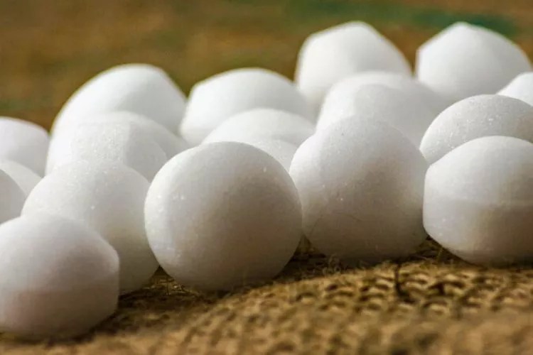 How to Collapse Gopher Tunnels? (Step By Step)