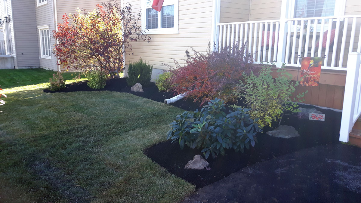 Yards Apart Landscape & Design Planting & Bedding