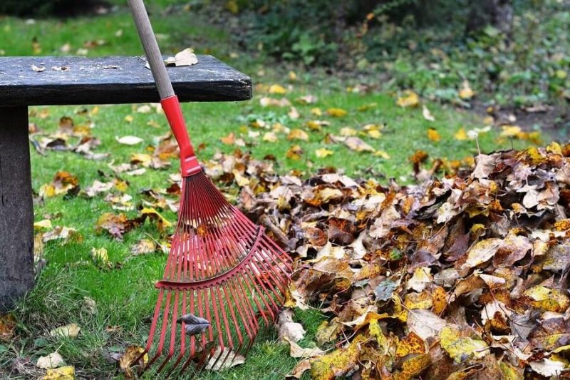Rake vs Leaf Blower StandOff Which is Better? + FAQ