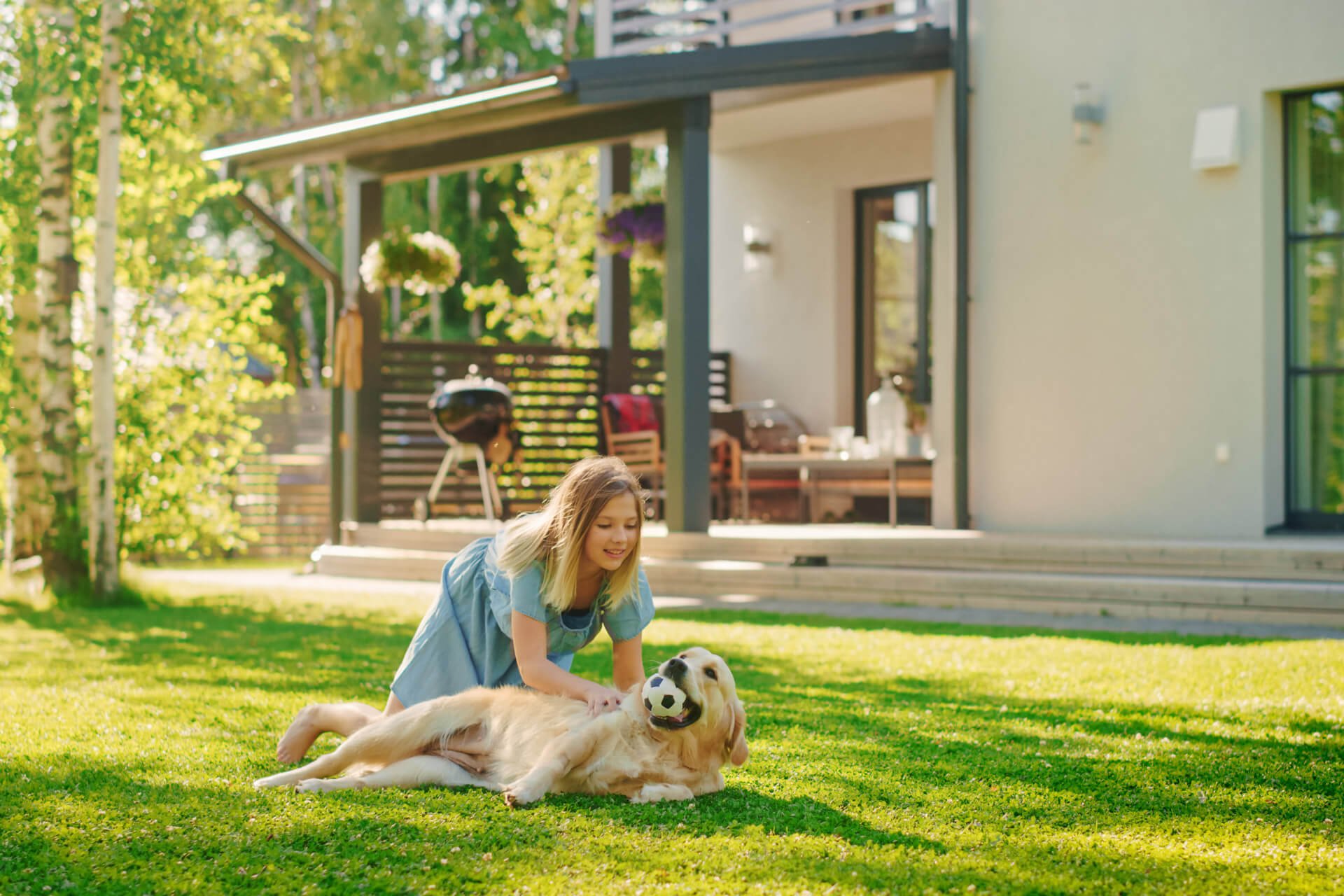 Designing a PetFriendly Yard Yardzen
