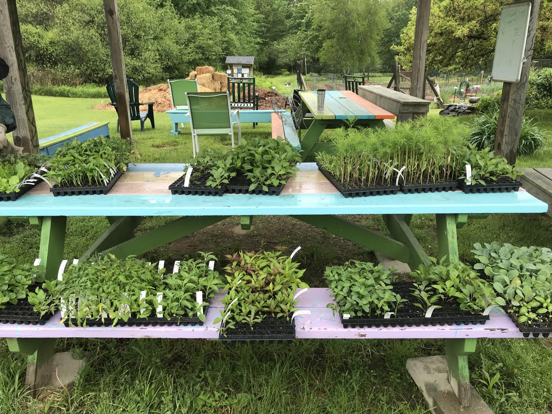 News Yarmouth Community Garden