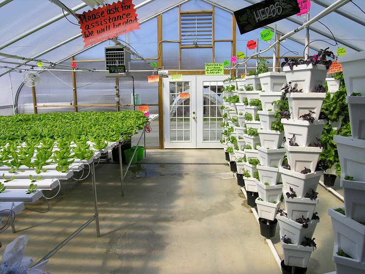 About Our Farm Yarnick's Farm and Greenhouses, Indiana, PA