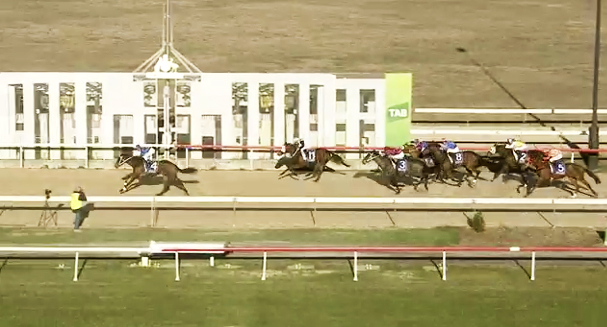 17 All at the Top Yarraman Park Stud