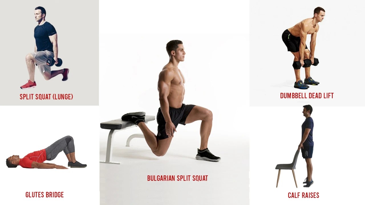 The Best Leg Workout for Beginners Mr. Yash Birla