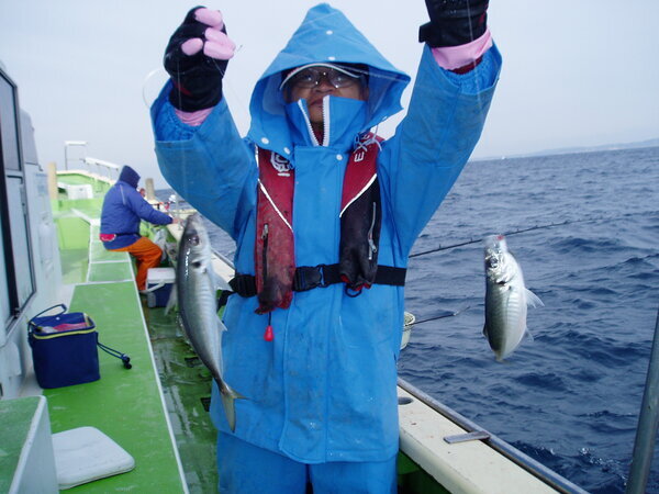久里浜 アジ・ワラサ・イナダ 釣り船弥七丸