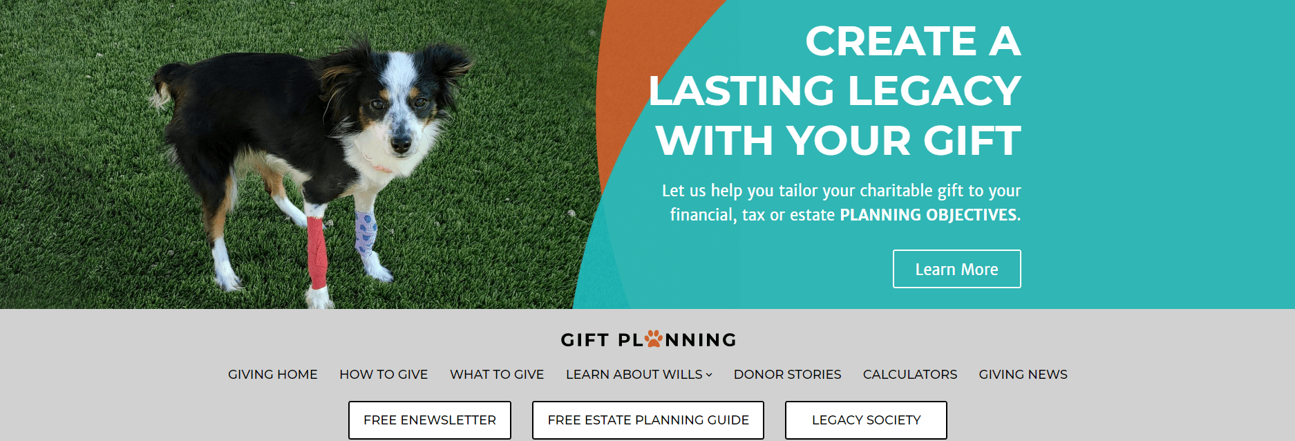 Home Yavapai Humane Society