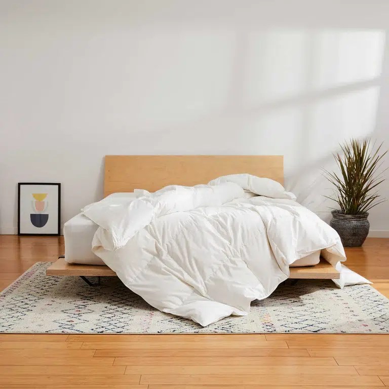 Best Comforter Your Guide to Ultimate Coziness