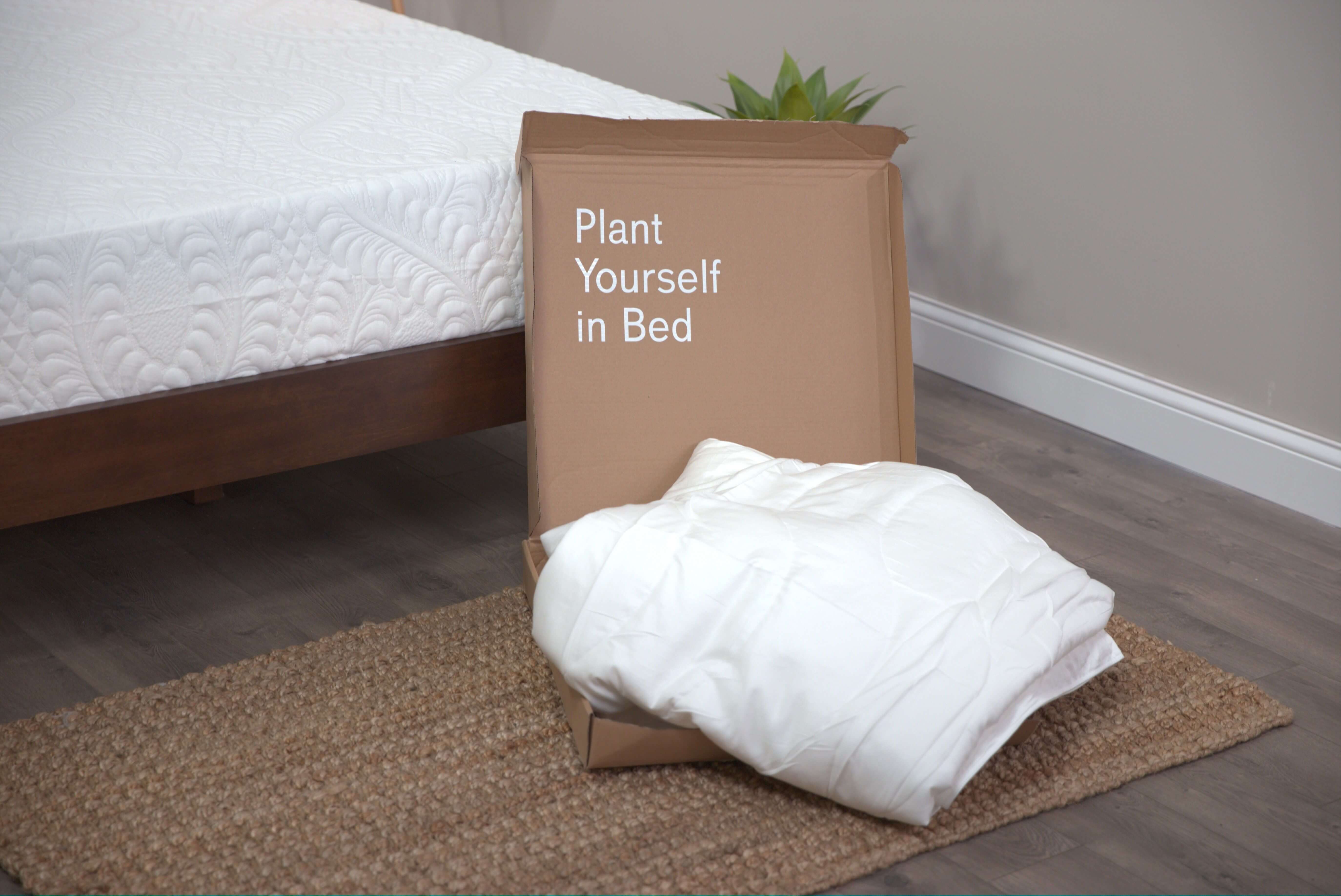 Buffy Breeze Comforter Review Yawnder