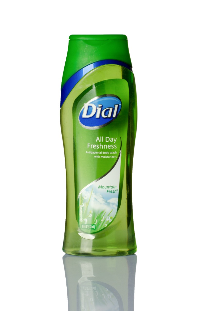 Dial Mountain Fresh Antibacterial Shower Gel 473ml Yazein Egypt