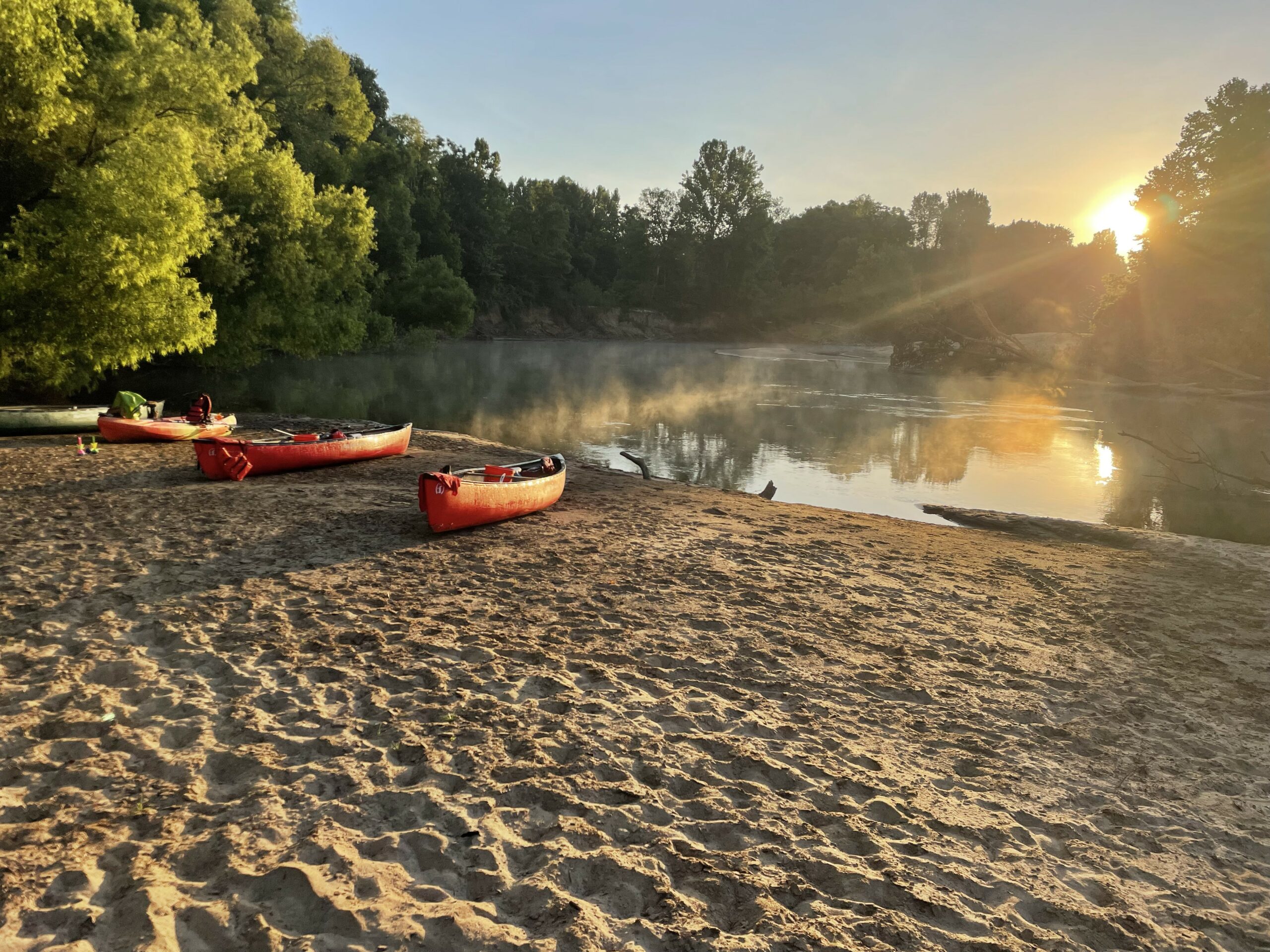 YMCA of Metropolitan Atlanta YMCA Bold & Gold