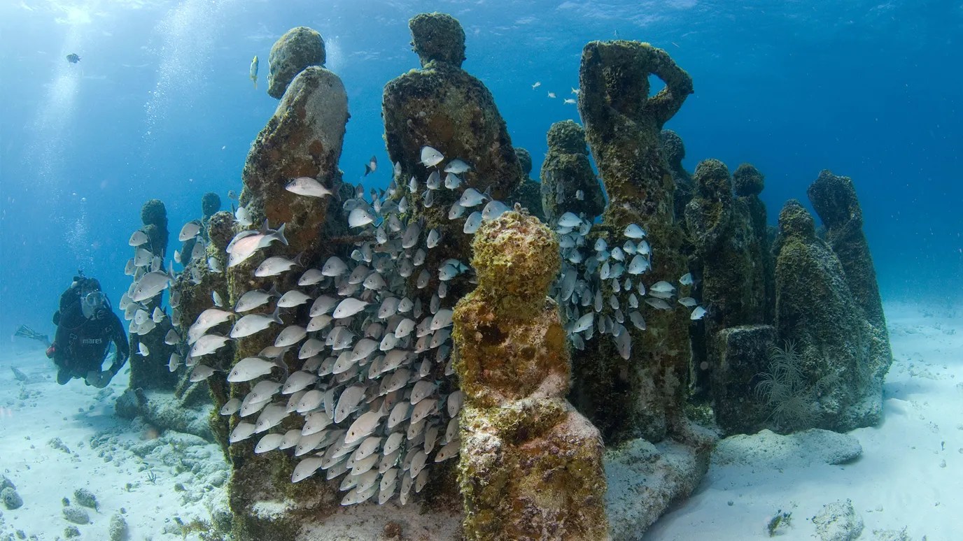 The spectacular art museum under the sea BBC Reel