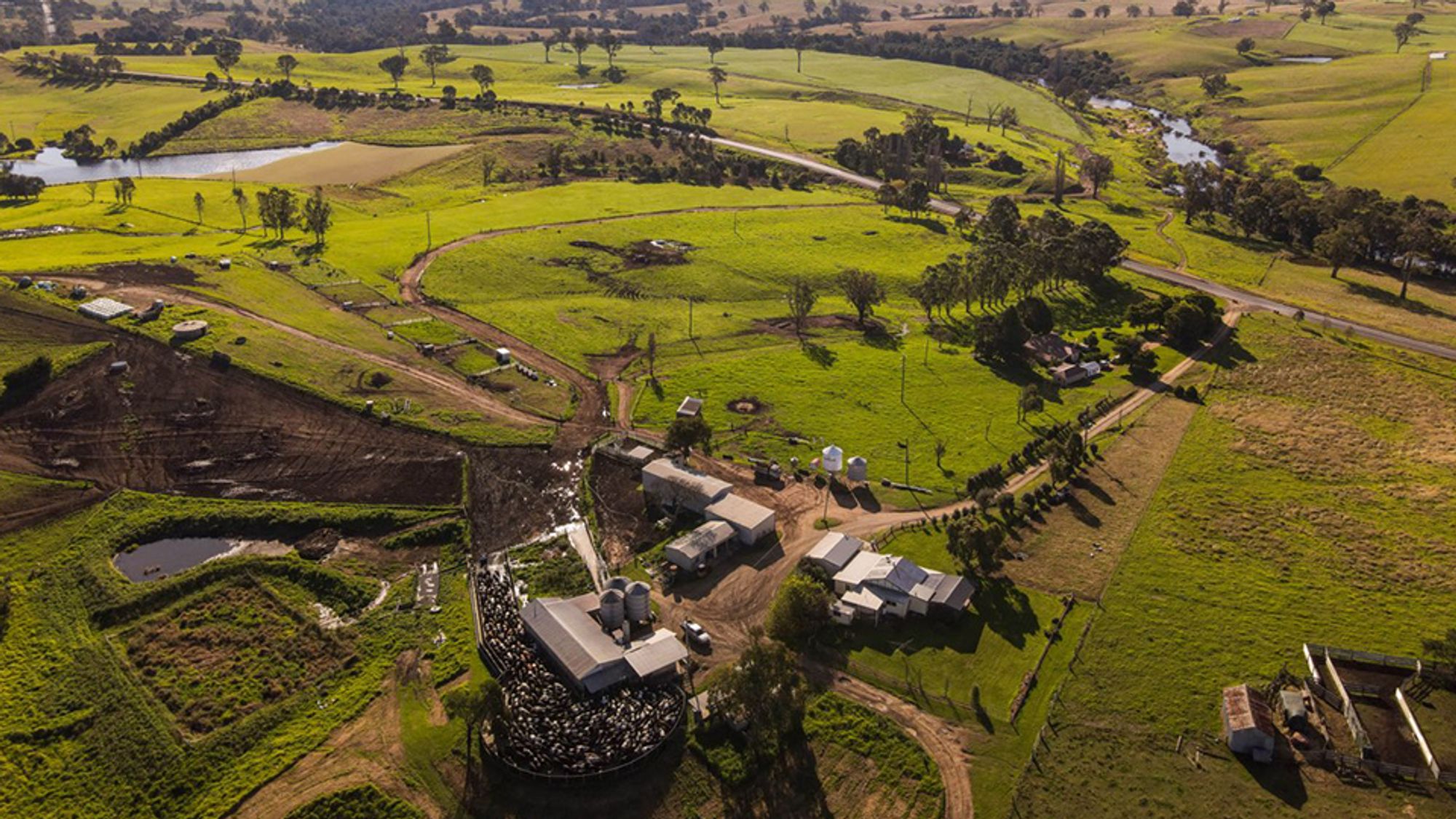 Cream of the crop What makes Australian dairy special? Article