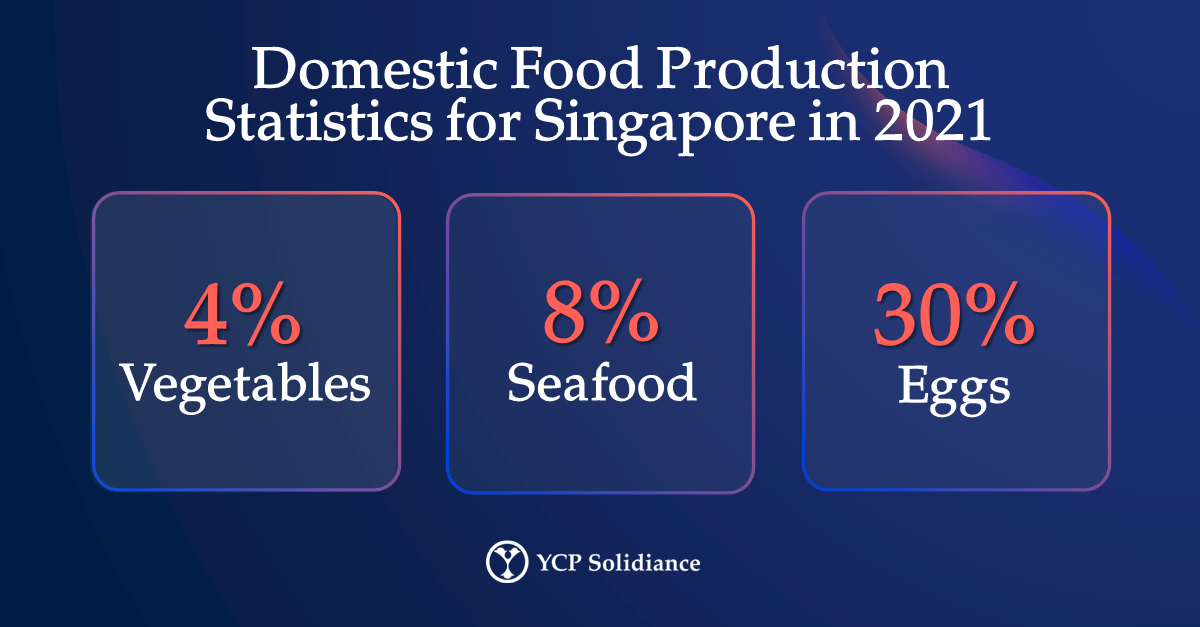 How Technology Can Address Food Security in Singapore