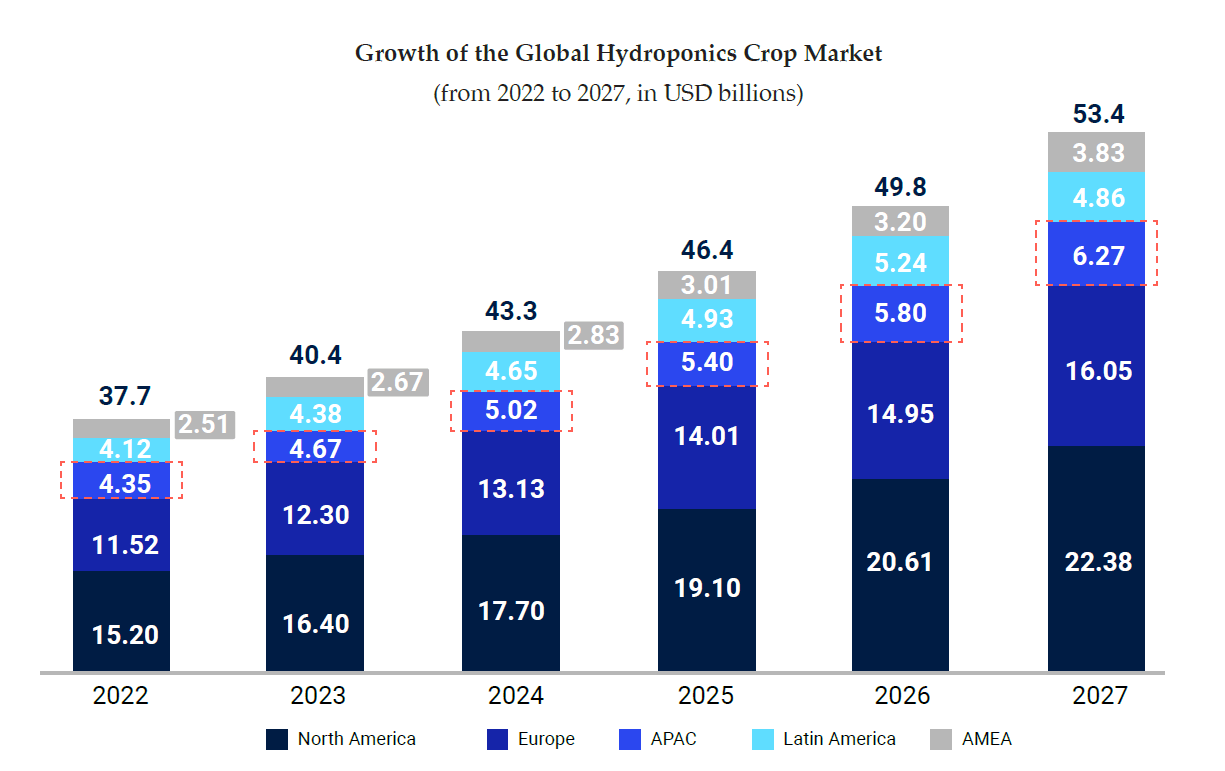 An Overview of Hydroponic Innovations in the Global Market