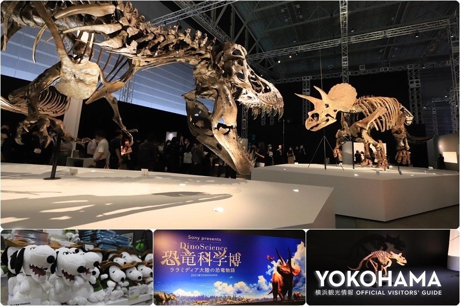 姫路大恐竜博の様子【姫路の種写真部】 | 姫路の種 パシフィコ横浜の「Dinoscience 恐竜科学博」はソニーの技術で白亜紀後期を体感するひと味違う恐竜博！｜【公式】横浜市観光情報サイト - Yokohama Official Visitors' Guide