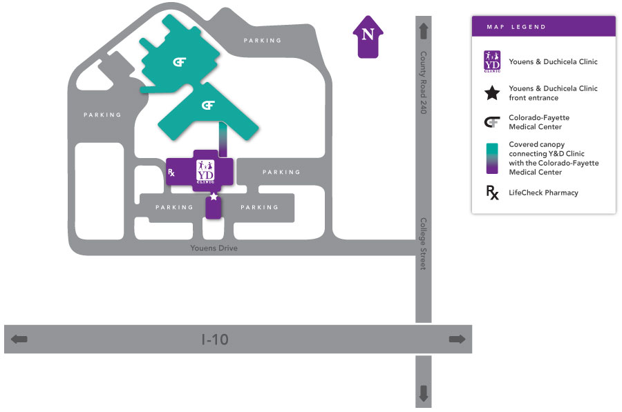 The Clinic Y & D Clinic