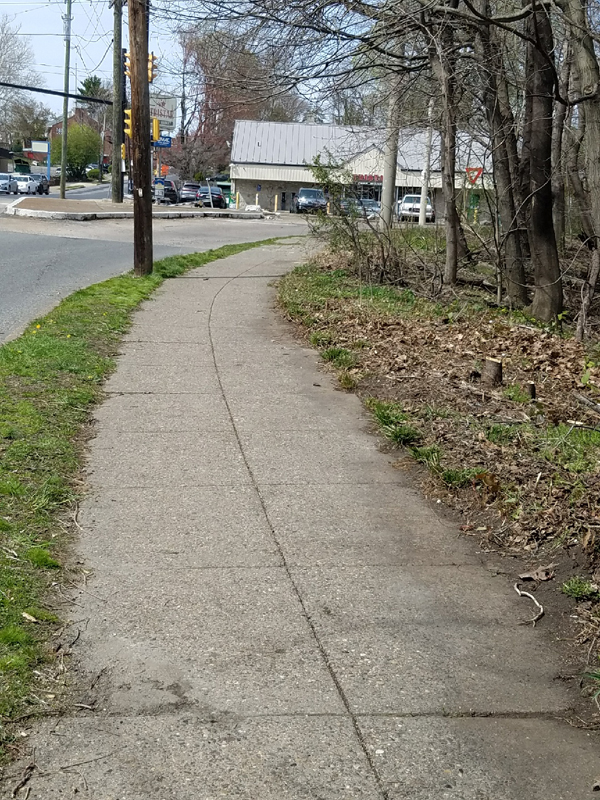 Yeadon Borough Clean Up Major Success! Yeadon Borough