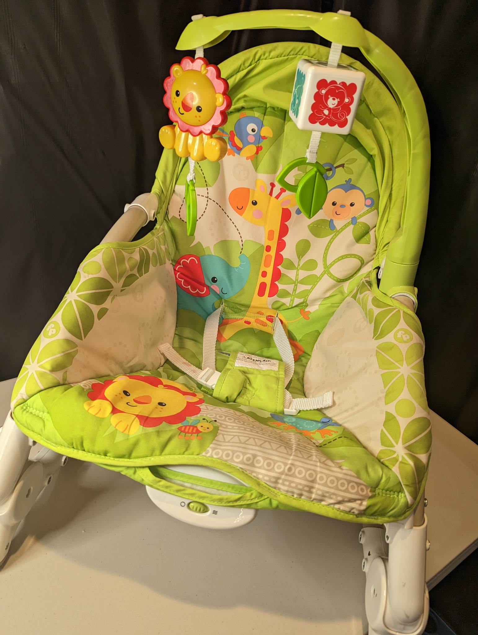 Baby Rocker Chair (used) Year Round Garage Sale