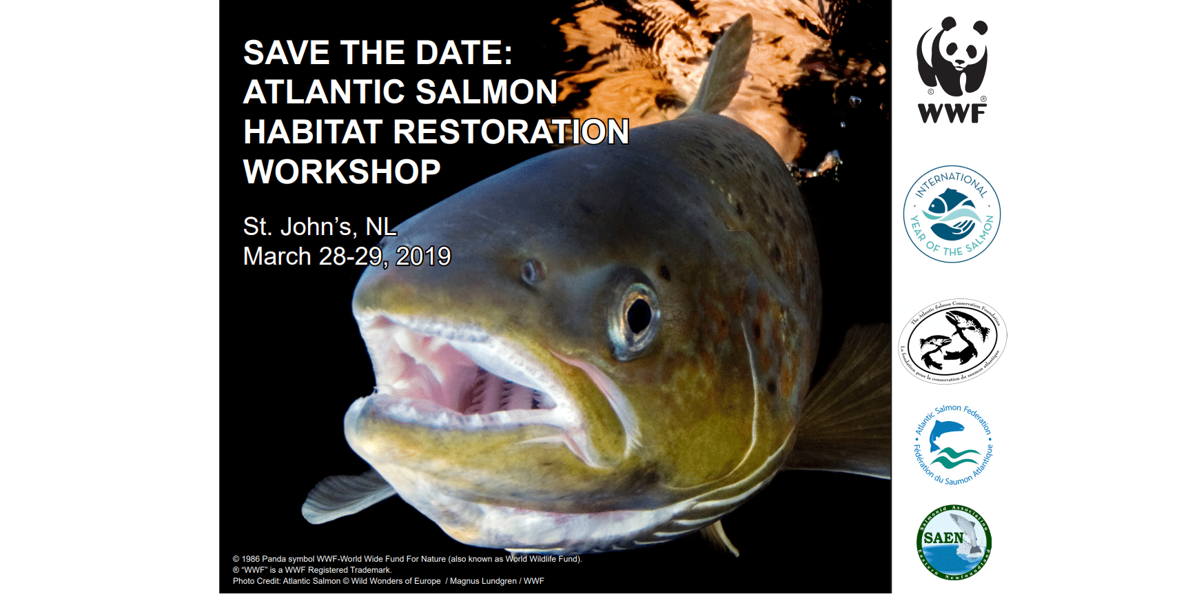 Atlantic Salmon Habitat Restoration Newfoundland and