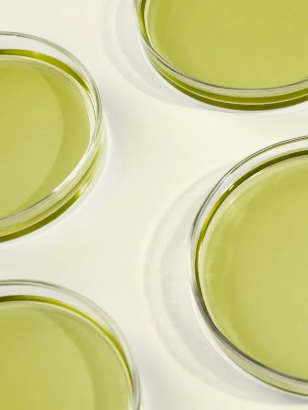 Finest liquid yeast for brewing the finest craft beers Yeast Side