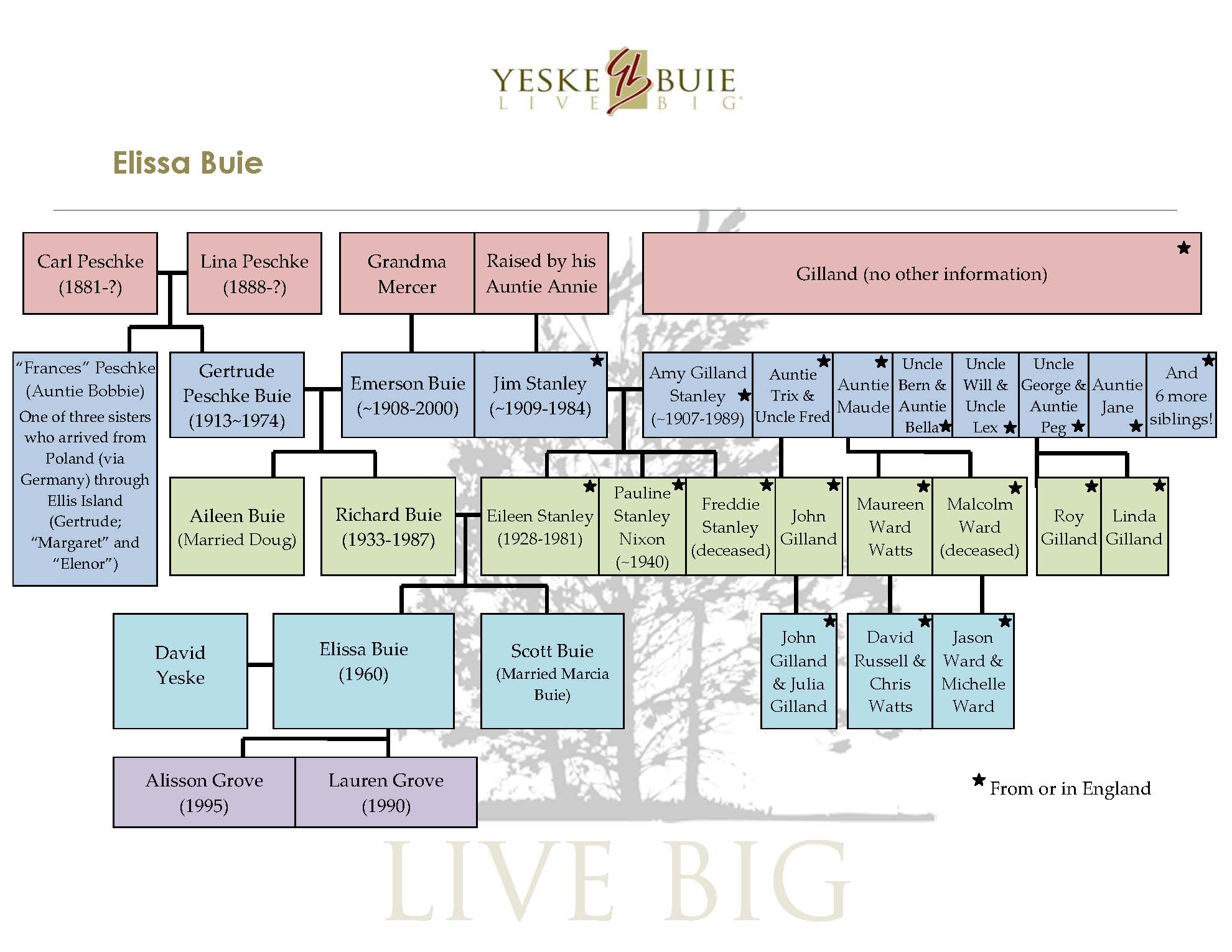 Climbing the Family Tree