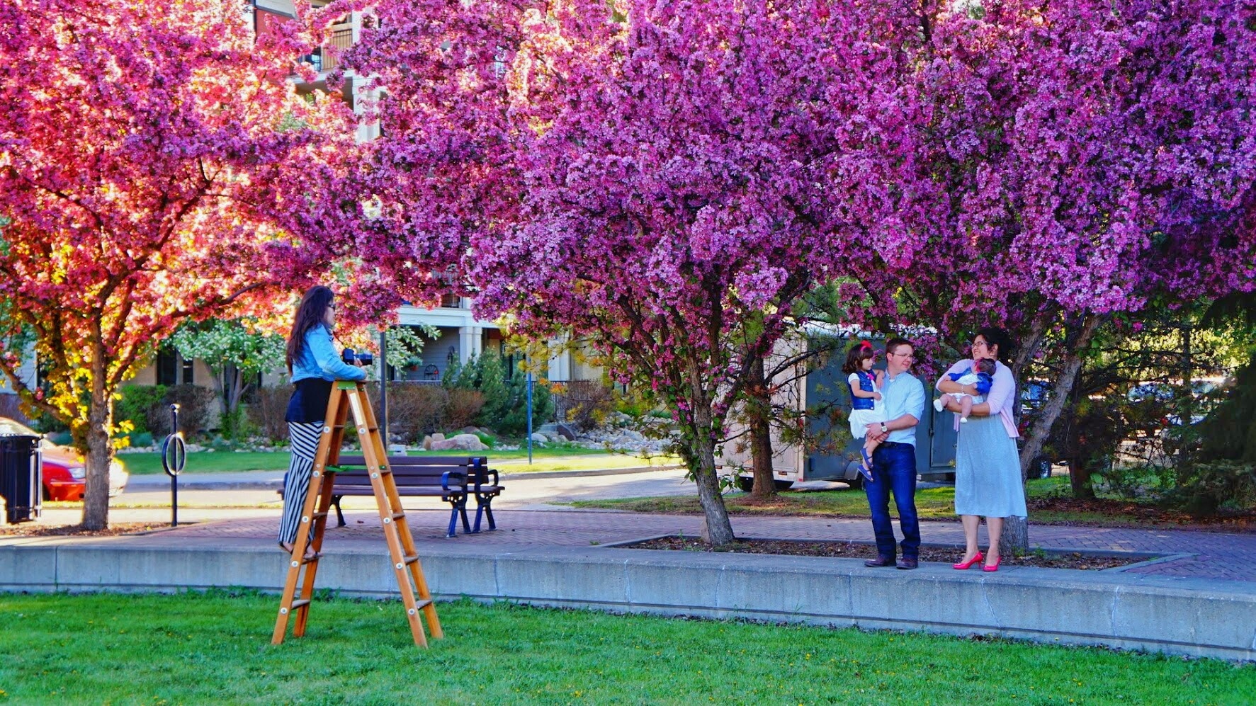 5 Places For Spring Pictures in Edmonton Yegventures.ca