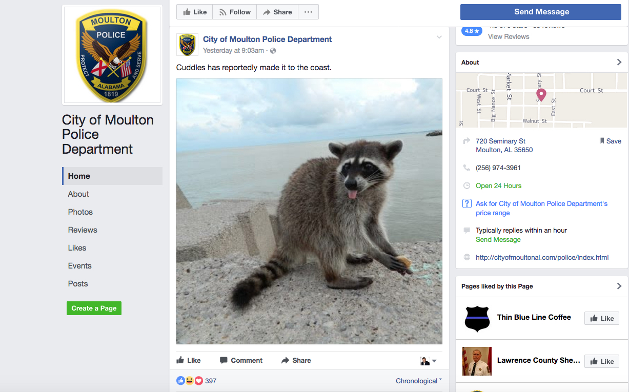 Moulton, Alabama Police Department's Hilarious Facebook Post Goes Viral