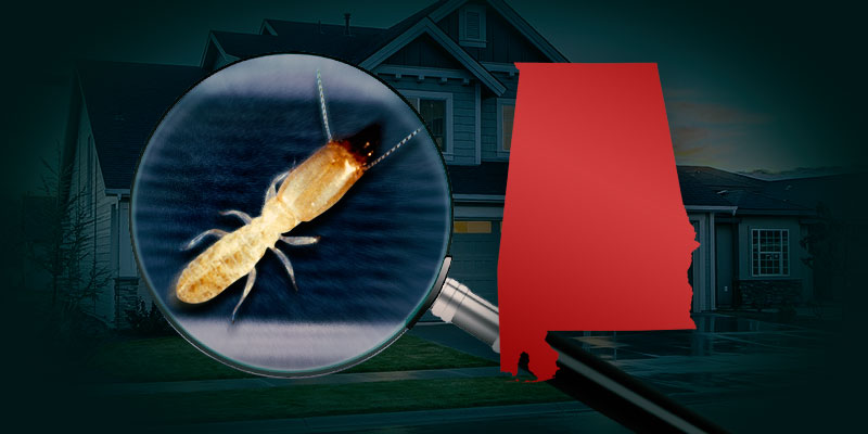 Pest Control and Lawn Care Waynes