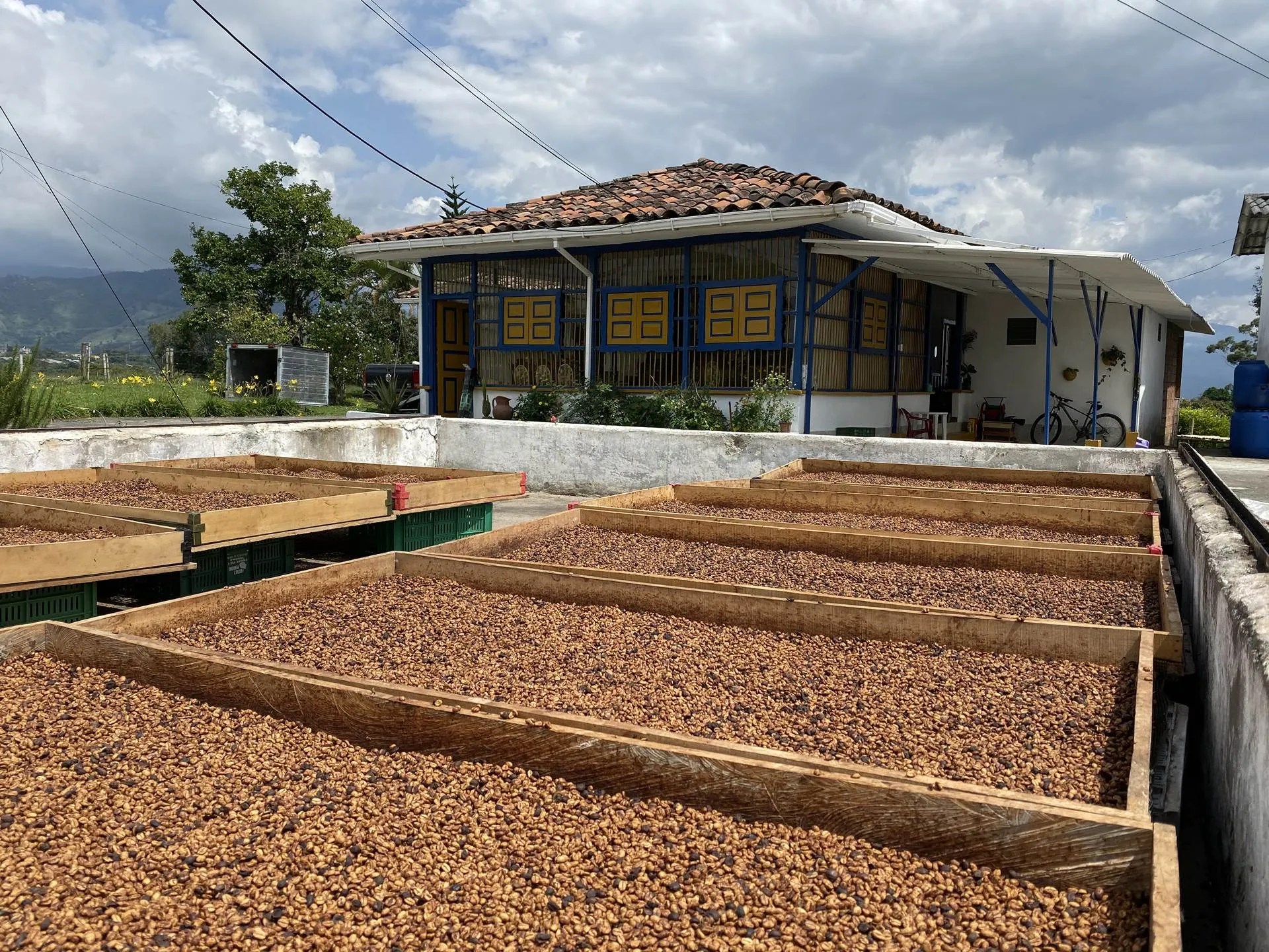 FAQ'S Yellow Rooster Coffee Imports