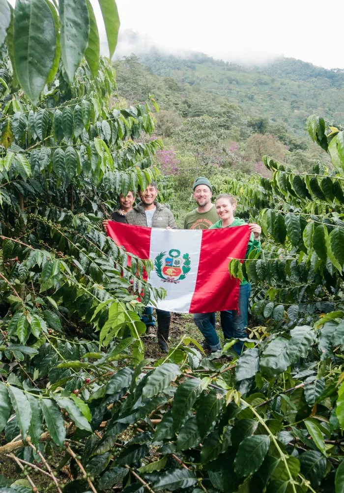 Yellow Rooster Coffee Imports