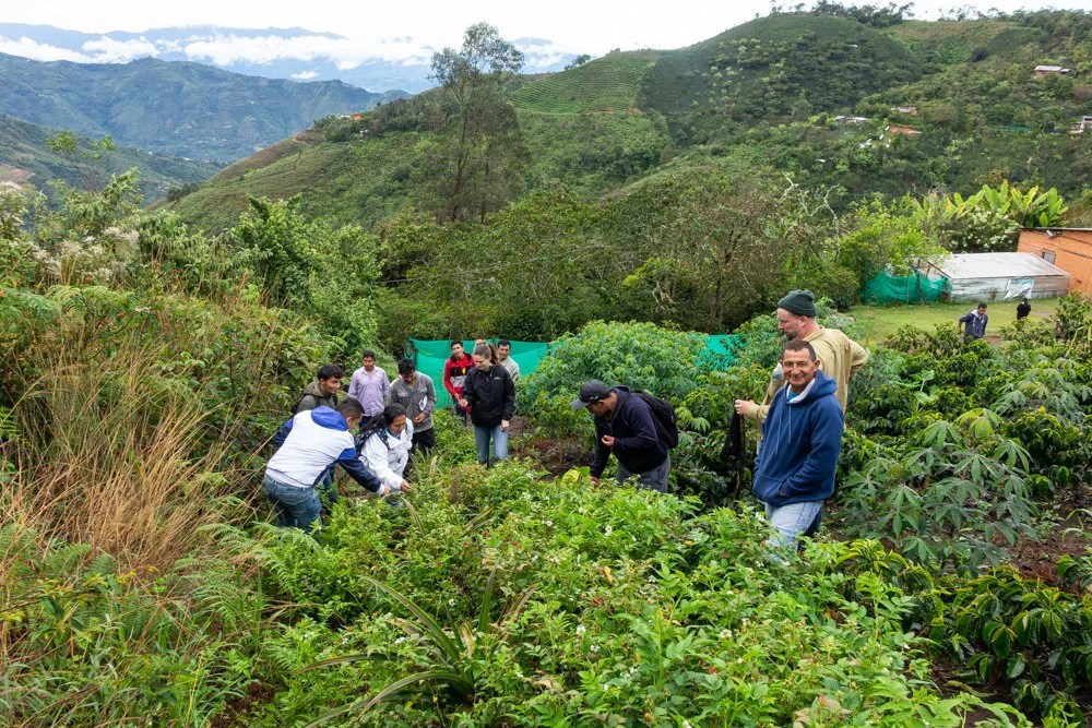 How We Source Yellow Rooster Coffee Imports