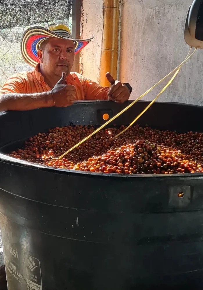 SKF Scoby Style Yellow Rooster Coffee Imports