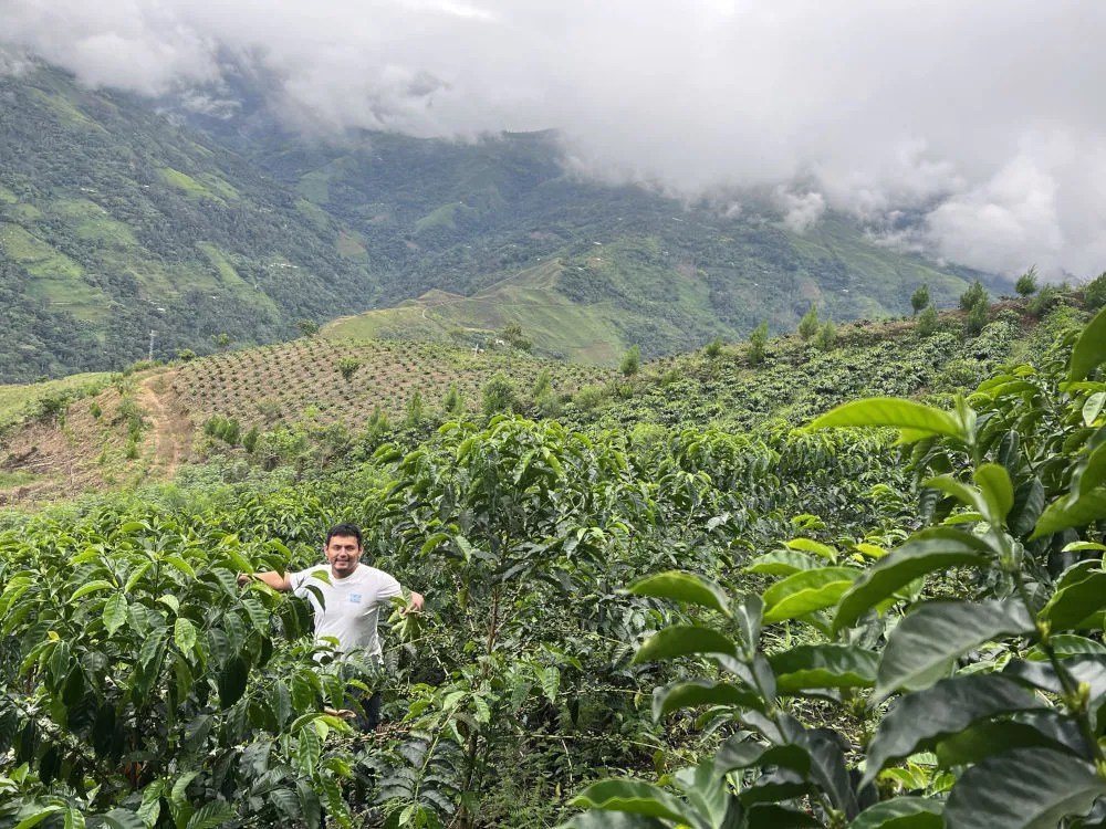 Eiser Carranza Baca Yellow Rooster Coffee Imports