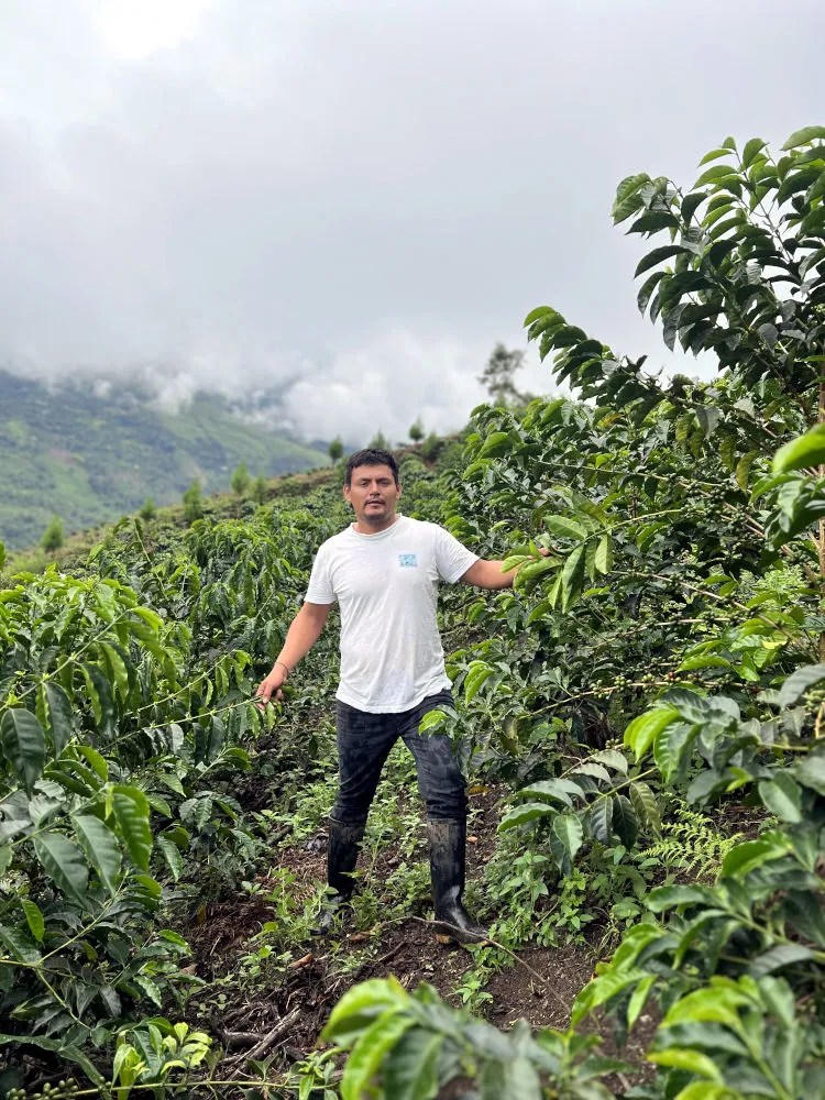 Eiser Carranza Baca Yellow Rooster Coffee Imports
