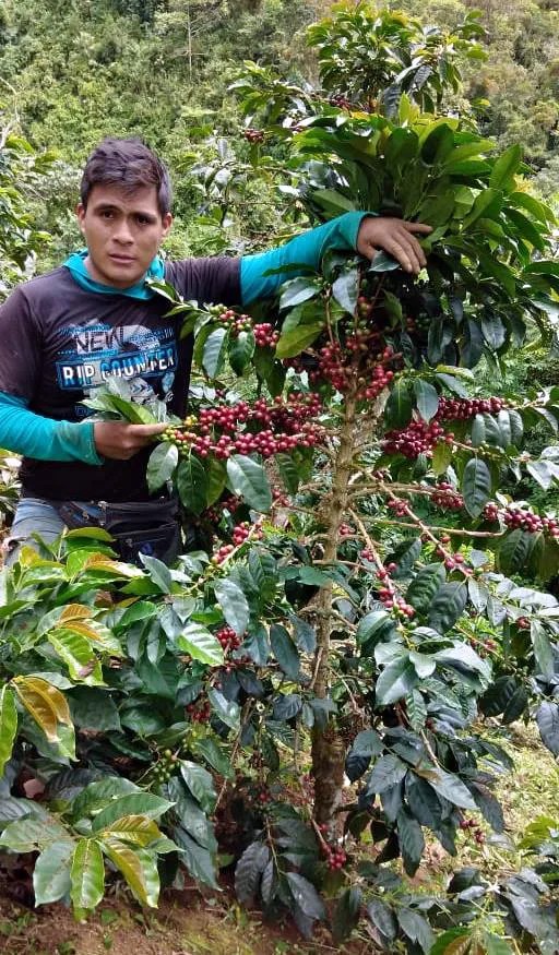 Fidel Huancas Chinchay Yellow Rooster Coffee Imports