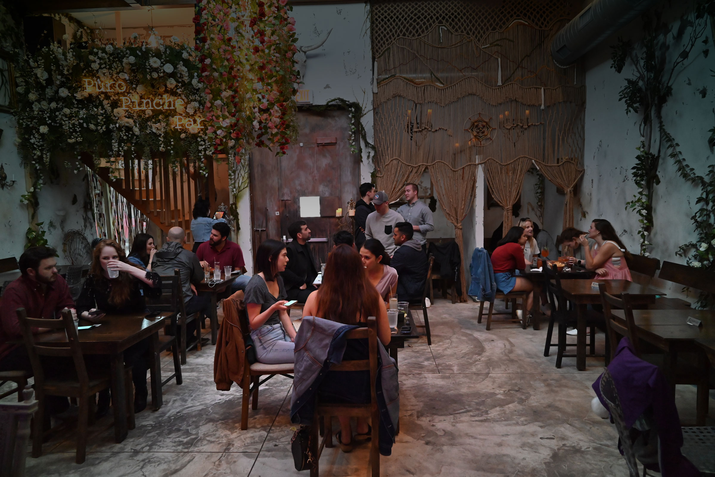 Yellow Rosa cocktaileria