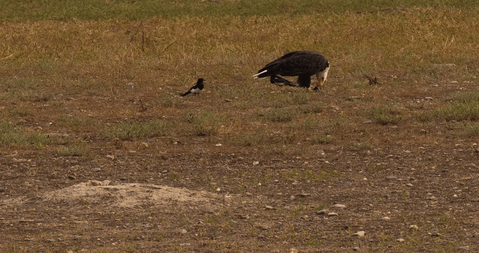 Redtail Ridge Final Plat Passed Despite Riskier Financial Agreement