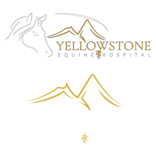 Contact Us Yellowstone Equine Hospital Dr. Ted Vlahos, Cody, Wyoming