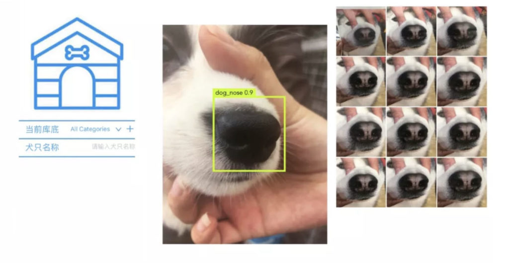 Using Facial Recognition to Help Find Lost Dogs Robot News