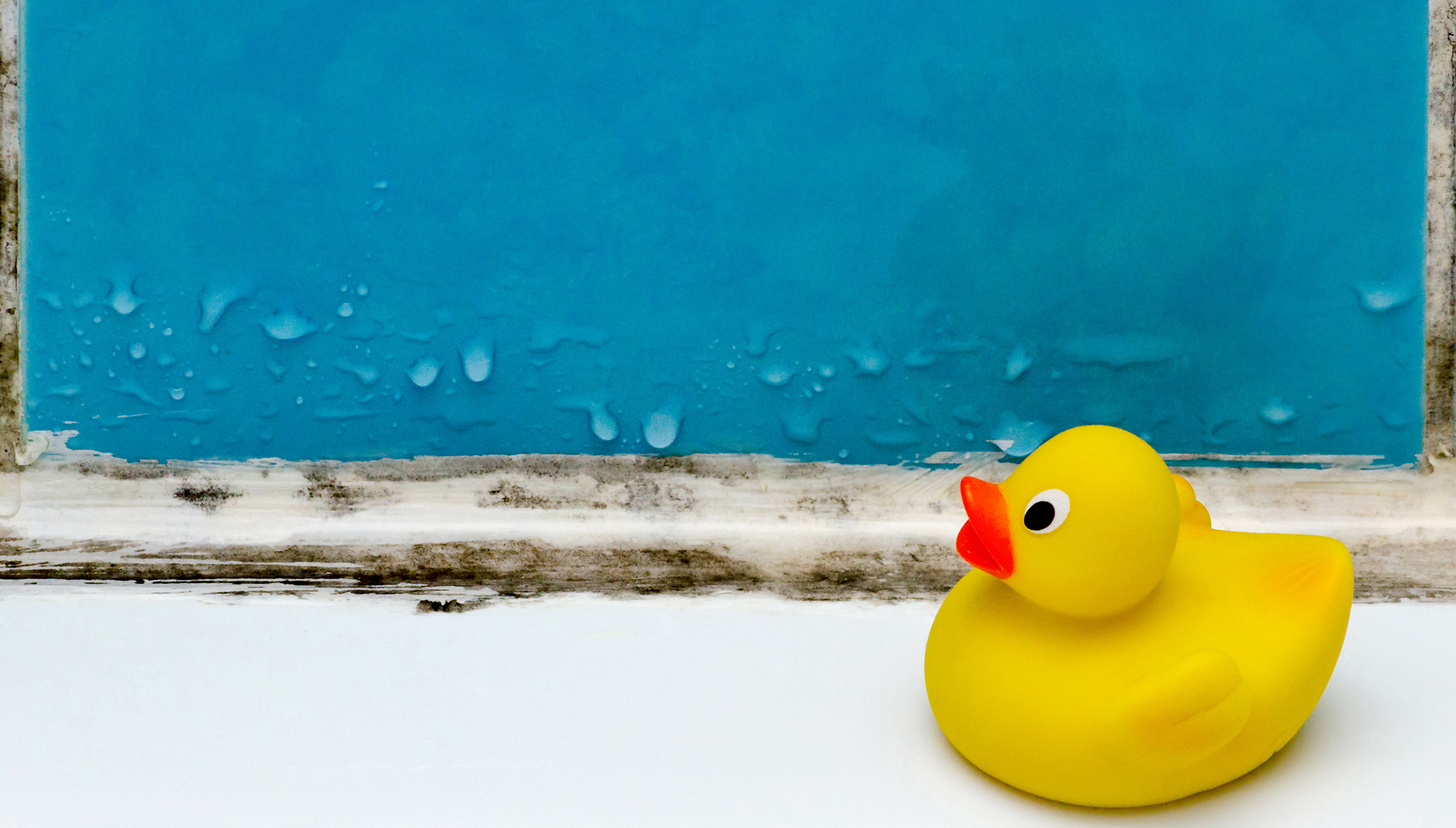 Mold in the shower? Get natural cleaning tips, and when to call a pro